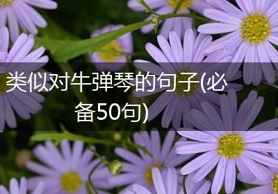 类似对牛弹琴的句子(必备50句)