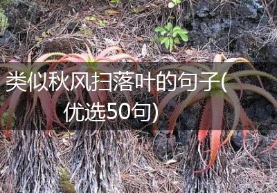 类似秋风扫落叶的句子(优选50句)
