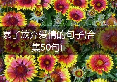 累了放弃爱情的句子(合集50句)
