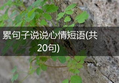 累句子说说心情短语(共20句)