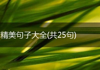 精美句子大全(共25句)