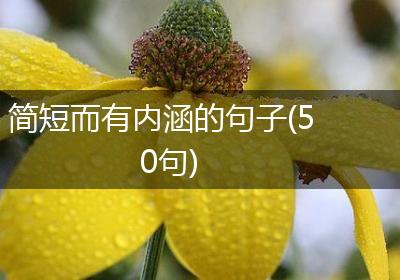 简短而有内涵的句子(50句)