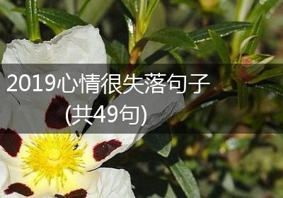 2019心情很失落句子(共49句)