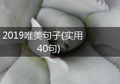 2019唯美句子(实用40句)