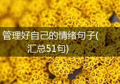 管理好自己的情绪句子(汇总51句)