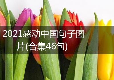 2021感动中国句子图片(合集46句)