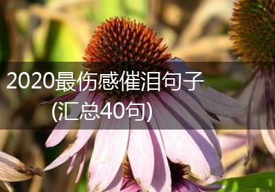 2020最伤感催泪句子(汇总40句)