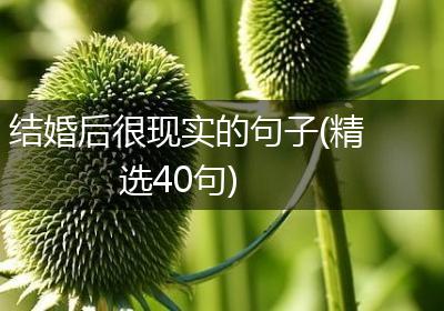 结婚后很现实的句子(精选40句)