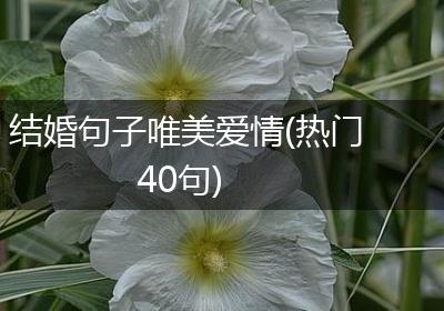 结婚句子唯美爱情(热门40句)