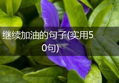 继续加油的句子(实用50句)