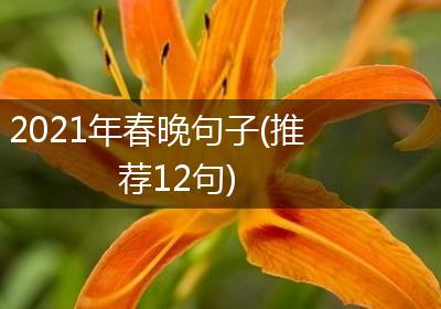 2021年春晚句子(推荐12句)