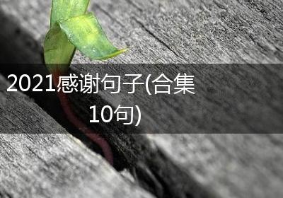 2021感谢句子(合集10句)