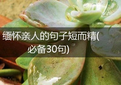 缅怀亲人的句子短而精(必备30句)