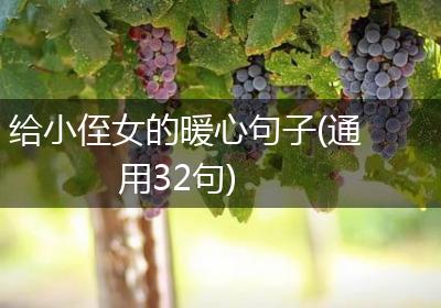 给小侄女的暖心句子(通用32句)