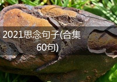 2021思念句子(合集60句)