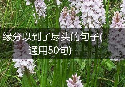 缘分以到了尽头的句子(通用50句)