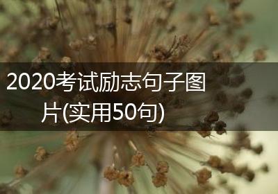2020考试励志句子图片(实用50句)