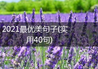 2021最优美句子(实用40句)