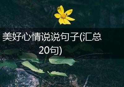 美好心情说说句子(汇总20句)