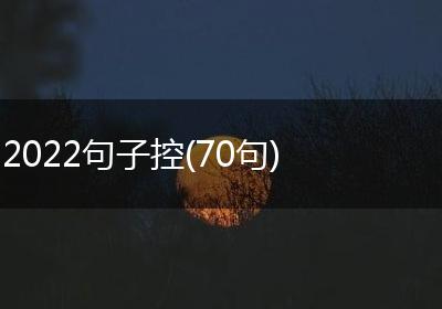 2022句子控(70句)