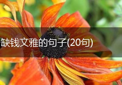 缺钱文雅的句子(20句)