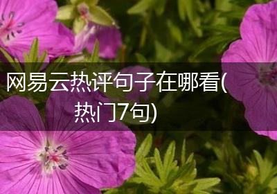 网易云热评句子在哪看(热门7句)