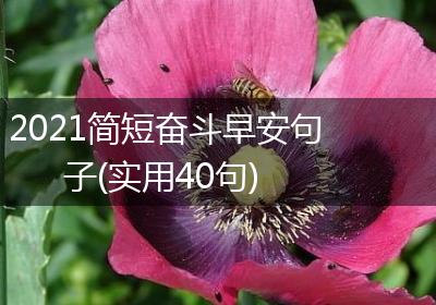 2021简短奋斗早安句子(实用40句)