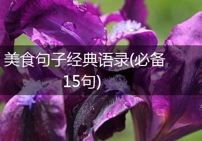 美食句子经典语录(必备15句)