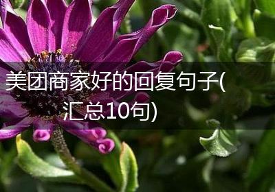 美团商家好的回复句子(汇总10句)