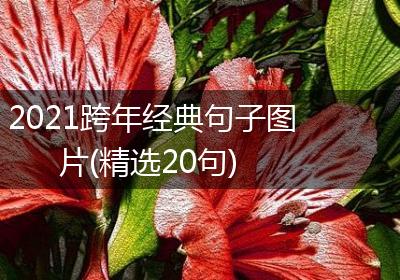 2021跨年经典句子图片(精选20句)