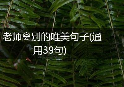 老师离别的唯美句子(通用39句)