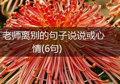 老师离别的句子说说或心情(6句)