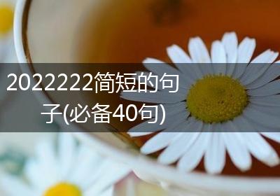 2022222简短的句子(必备40句)