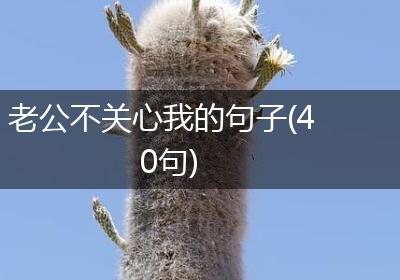 老公不关心我的句子(40句)