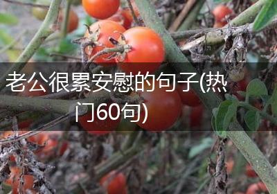 老公很累安慰的句子(热门60句)