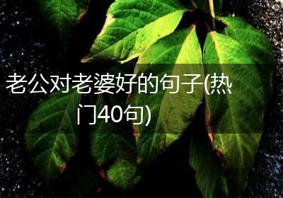 老公对老婆好的句子(热门40句)