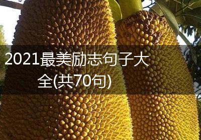 2021最美励志句子大全(共70句)