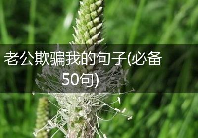 老公欺骗我的句子(必备50句)