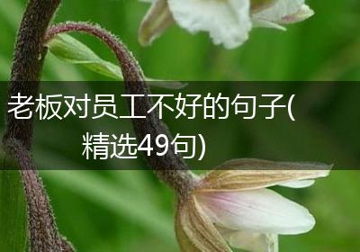 老板对员工不好的句子(精选49句)