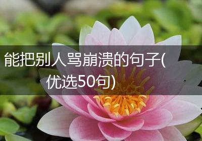 能把别人骂崩溃的句子(优选50句)