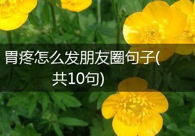 胃疼怎么发朋友圈句子(共10句)