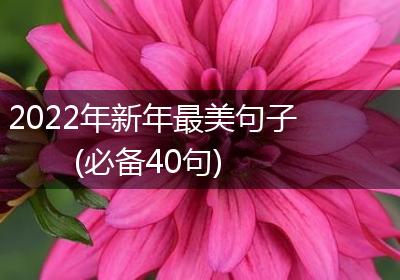 2022年新年最美句子(必备40句)