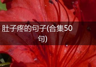 肚子疼的句子(合集50句)