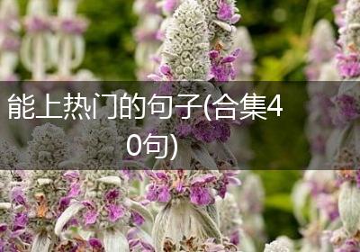 能上热门的句子(合集40句)