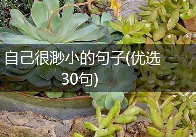 自己很渺小的句子(优选30句)