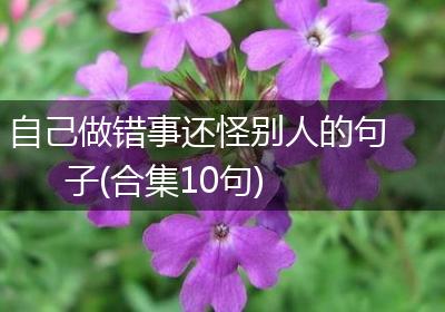 自己做错事还怪别人的句子(合集10句)