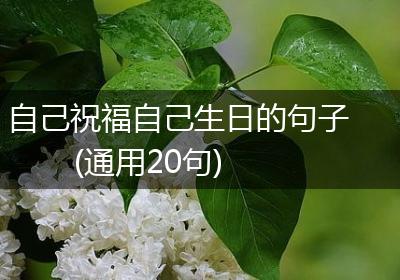 自己祝福自己生日的句子(通用20句)