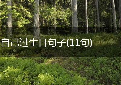 自己过生日句子(11句)