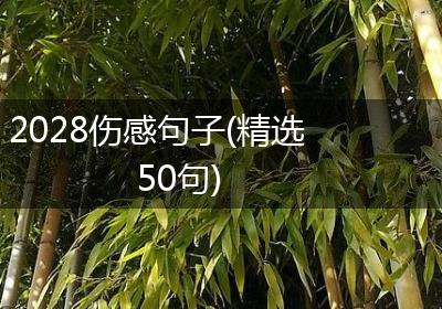2028伤感句子(精选50句)