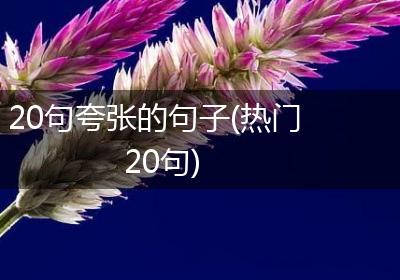 20句夸张的句子(热门20句)